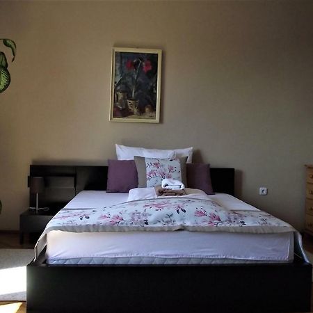 Panorama Apartman Mór 외부 사진